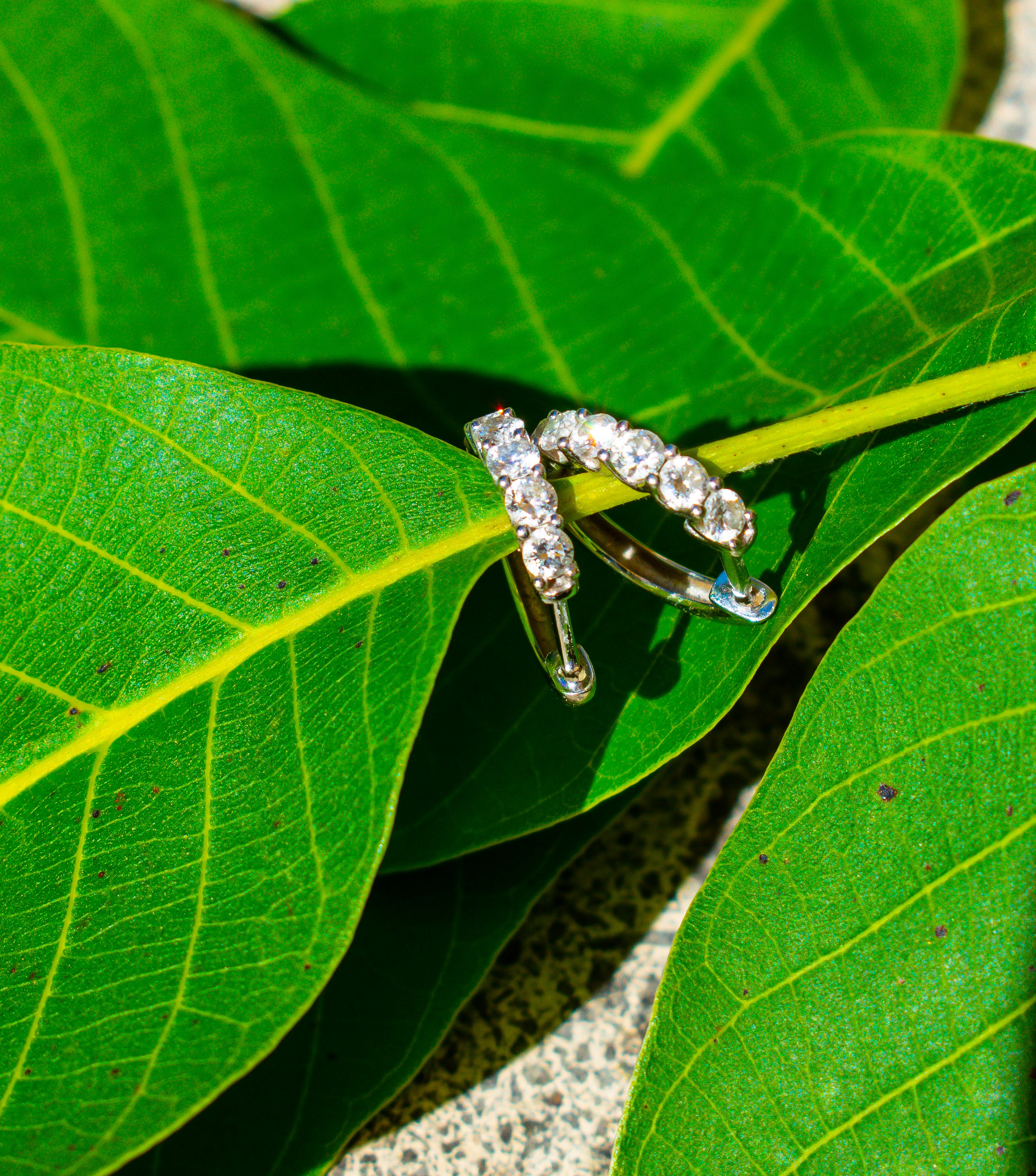 Creolen mit Diamanten